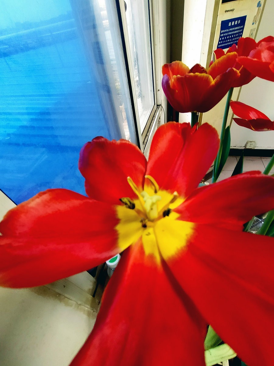 漫步星城 走街串巷（180）企盼阳光