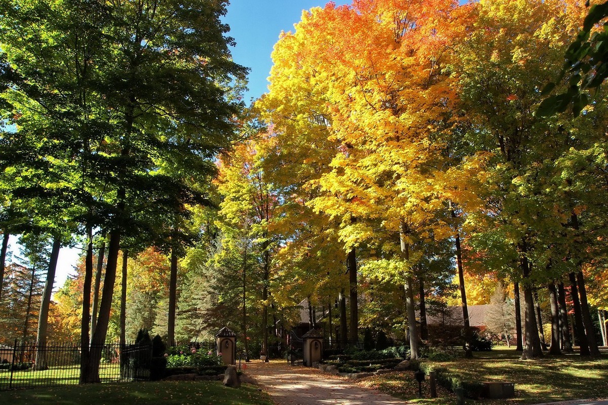 秋天应是赏枫时