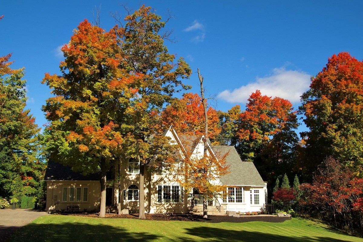 秋天应是赏枫时