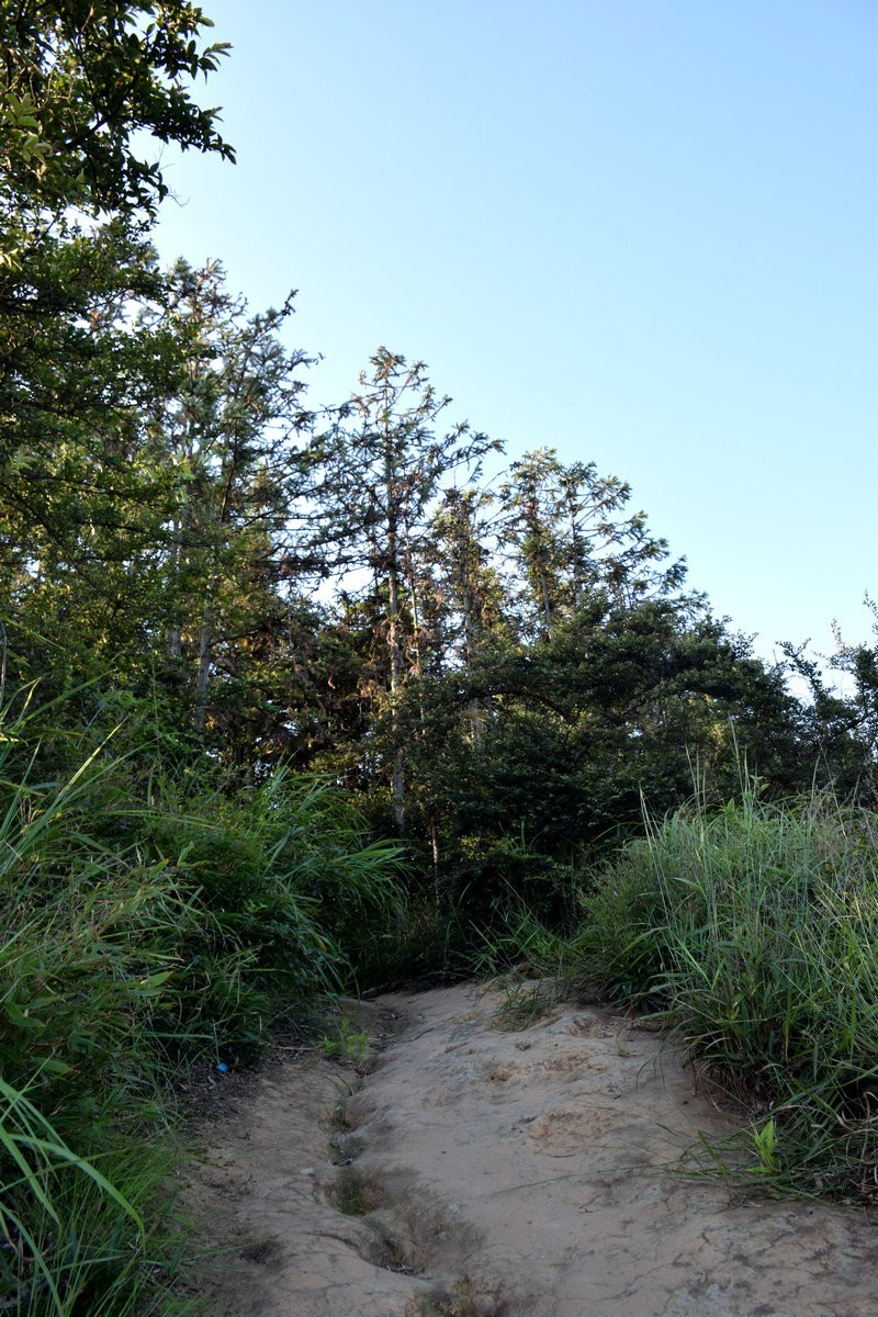 2022夏 湘赣边（28）无寸土不丽  无一山不奇