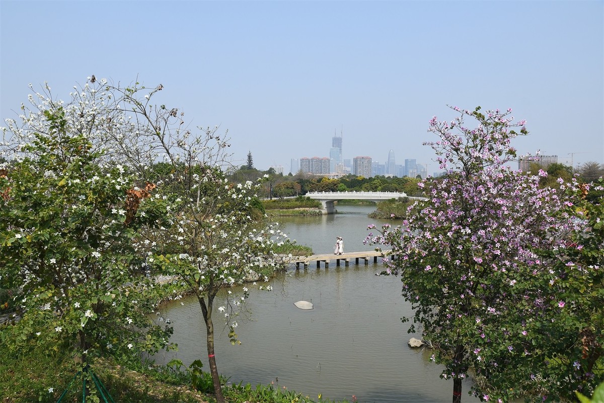 海珠湿地花似锦