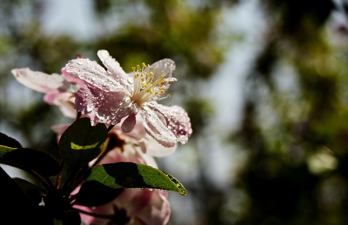 沧海桑田——钢城的变迁