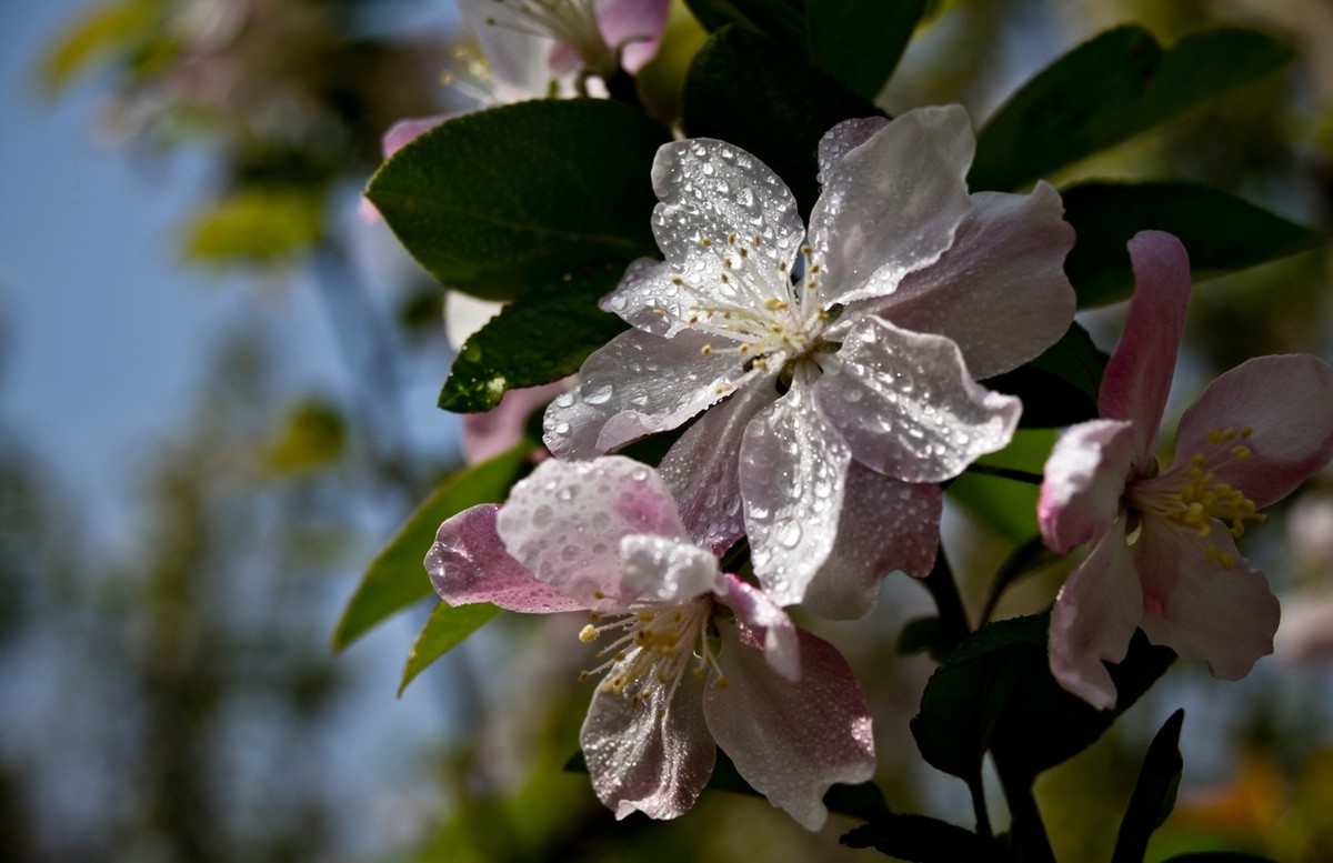 沧海桑田——钢城的变迁