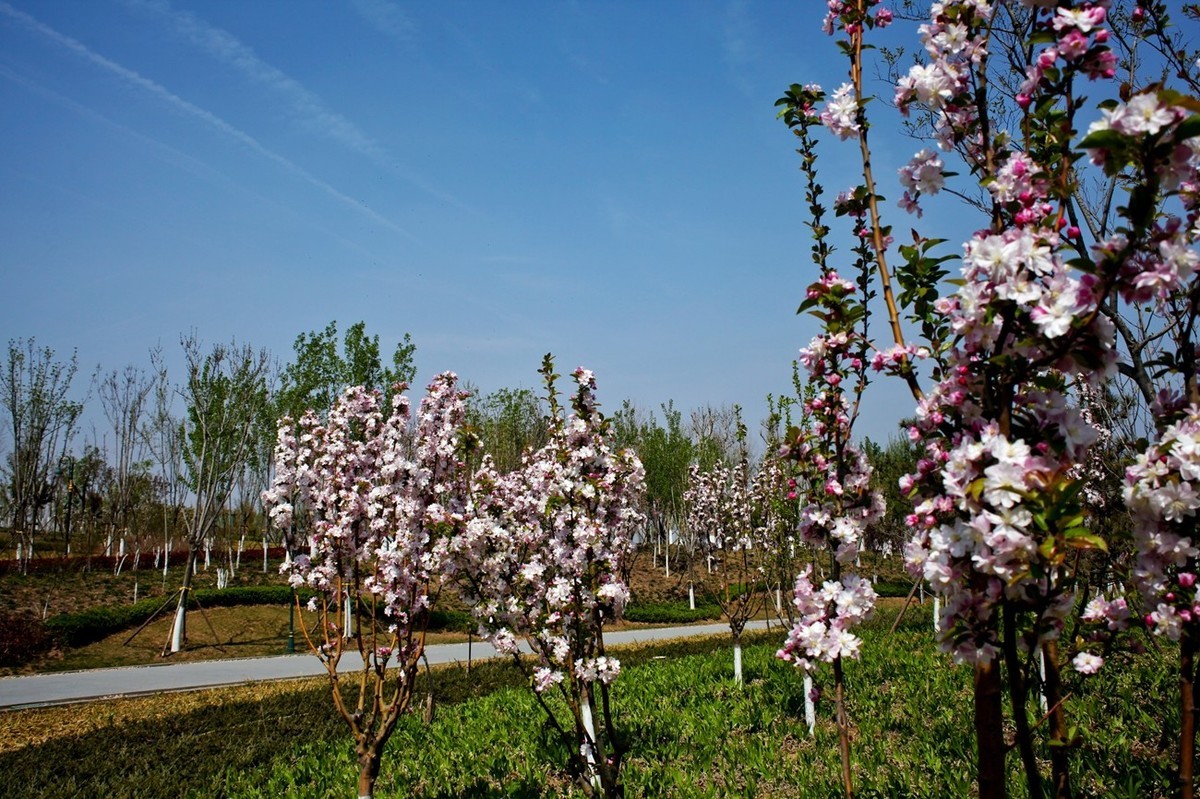 沧海桑田——钢城的变迁