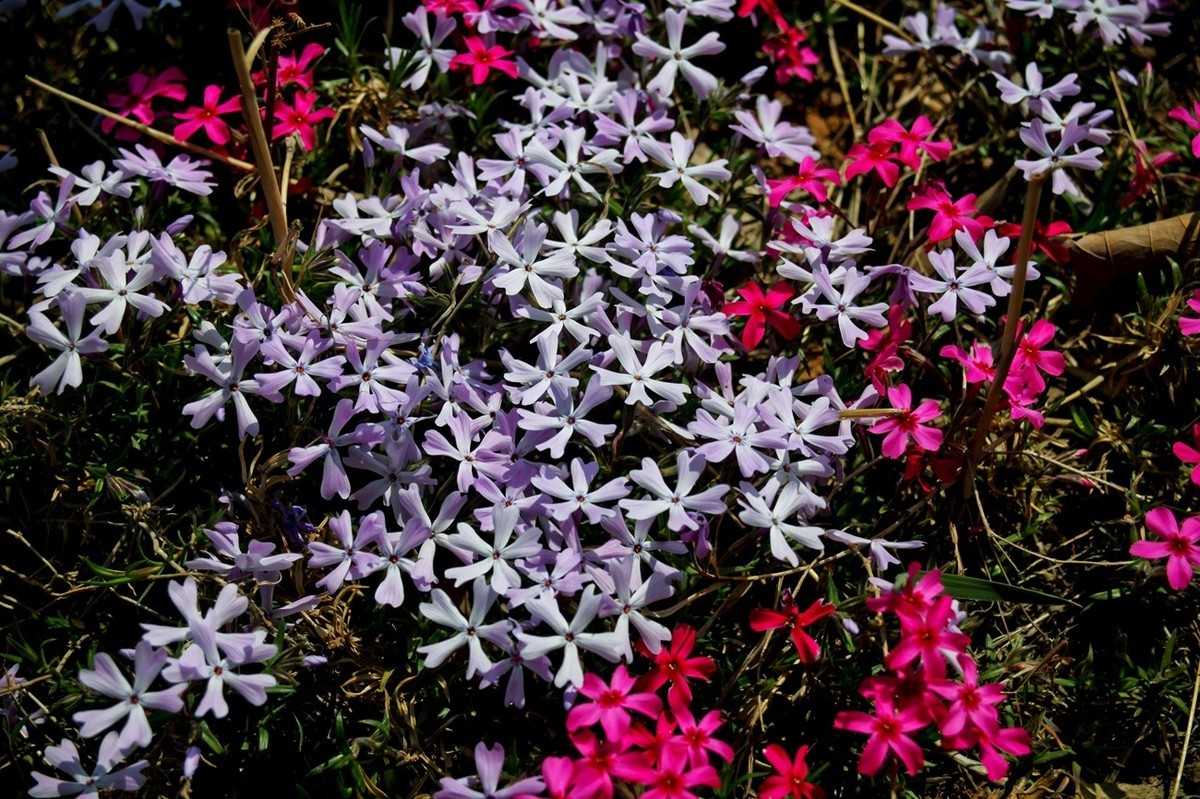 沧海桑田——钢城的变迁