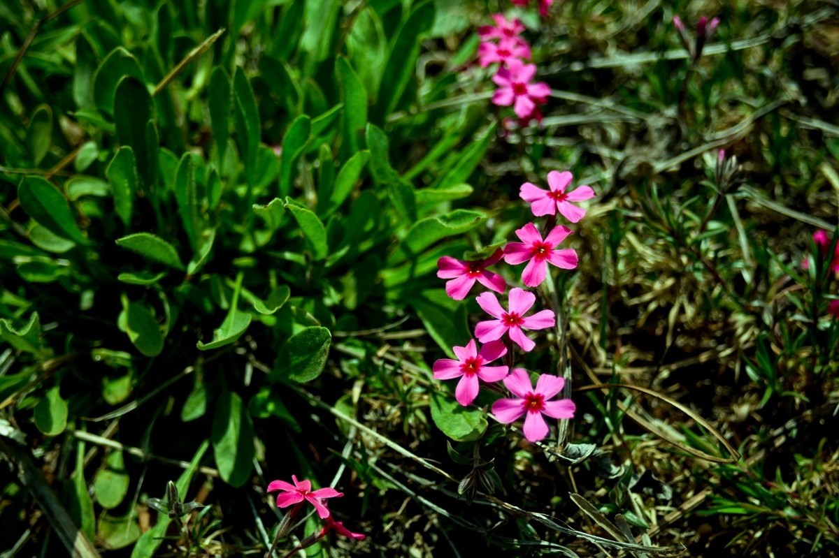 沧海桑田——钢城的变迁