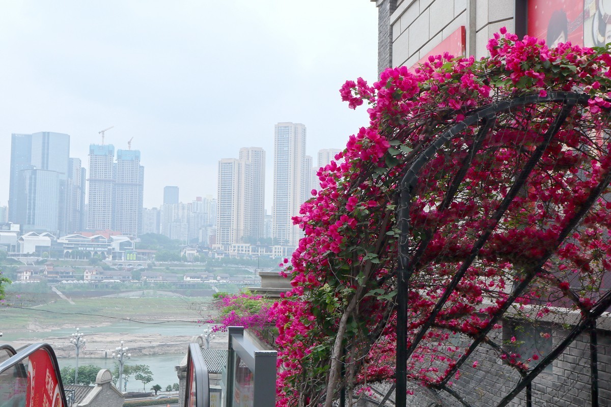 弹子石老街随拍 （三）