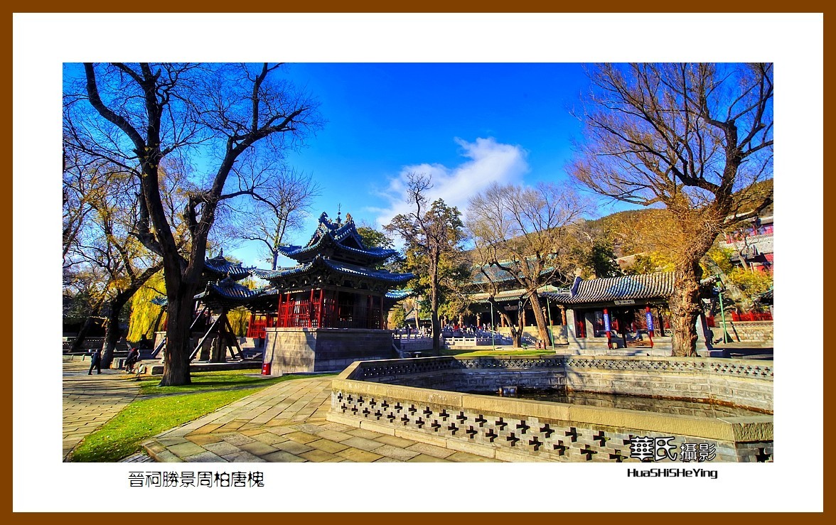 2020西西南北行游走山西146——晋祠胜景周柏唐槐（太原市）