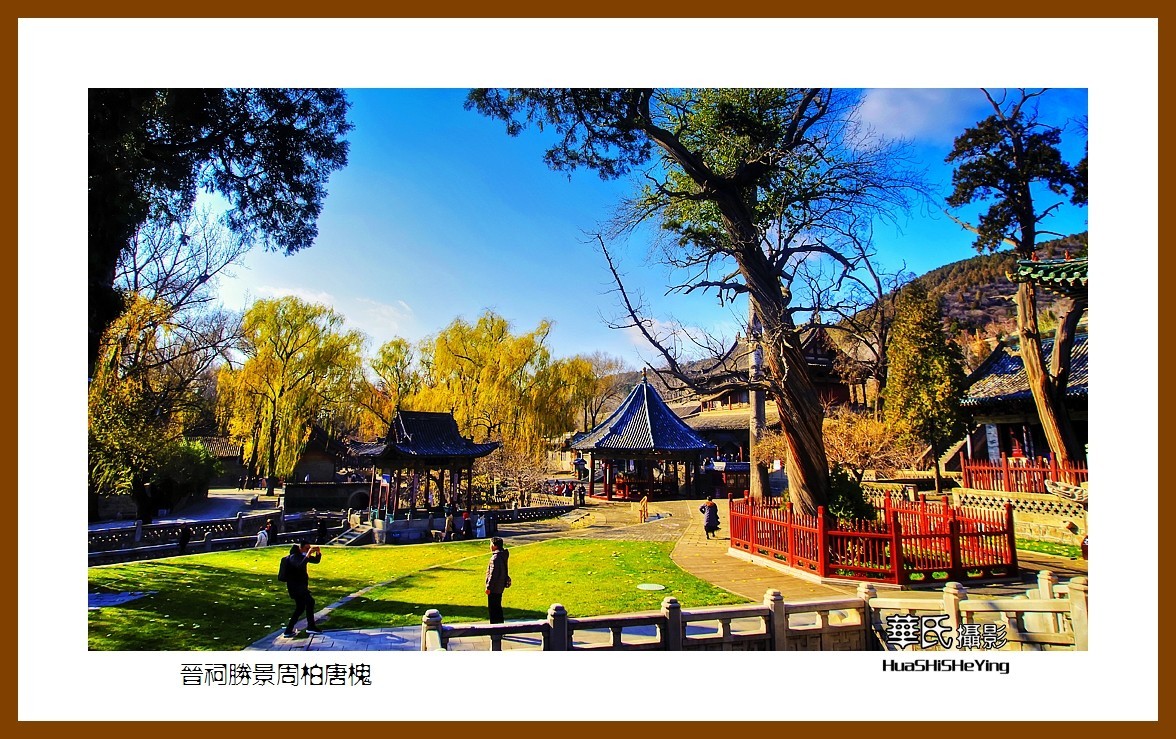 2020西西南北行游走山西146——晋祠胜景周柏唐槐（太原市）