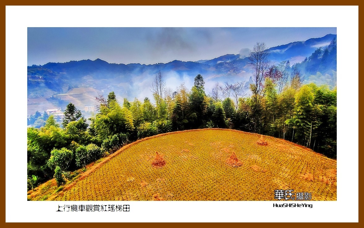 2021南行慢游广西041——上行缆车观赏红瑶梯田之二（桂林市龙胜县龙脊梯田）