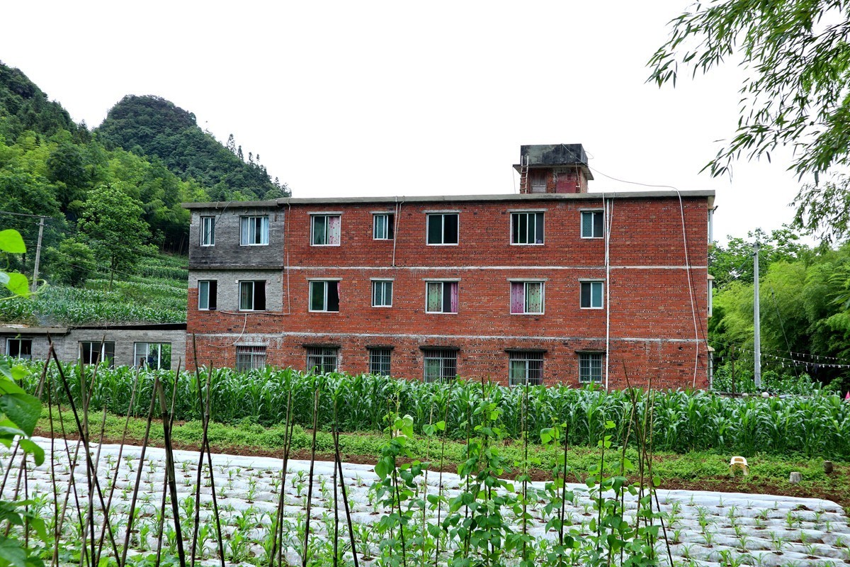 桐梓九坝山堡村新消息图片