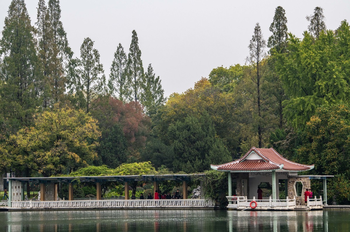 庐州印象(311)古逍遥津