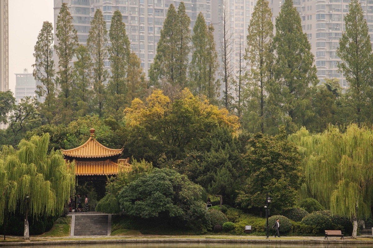 庐州印象(311)古逍遥津