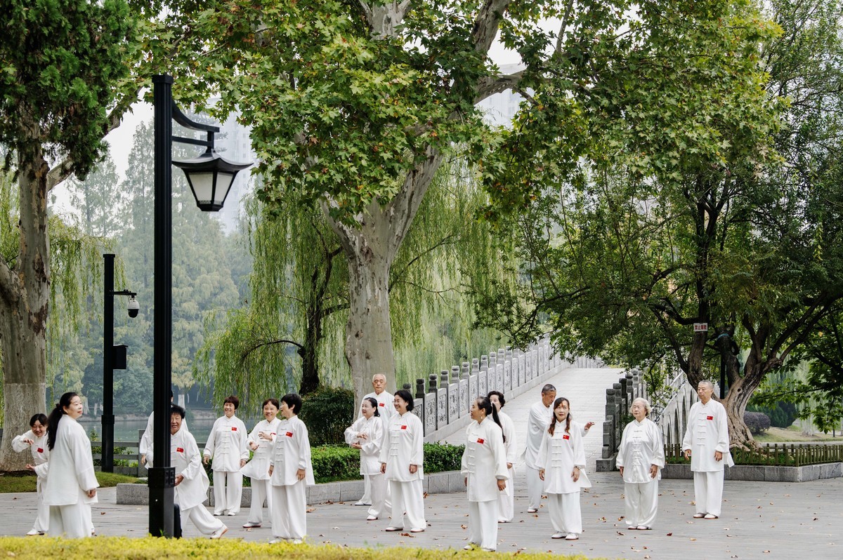 庐州印象(311)古逍遥津