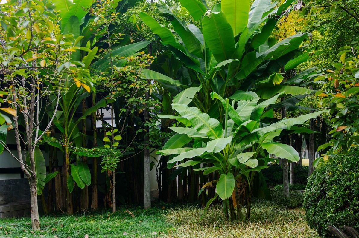 庐州印象(311)古逍遥津