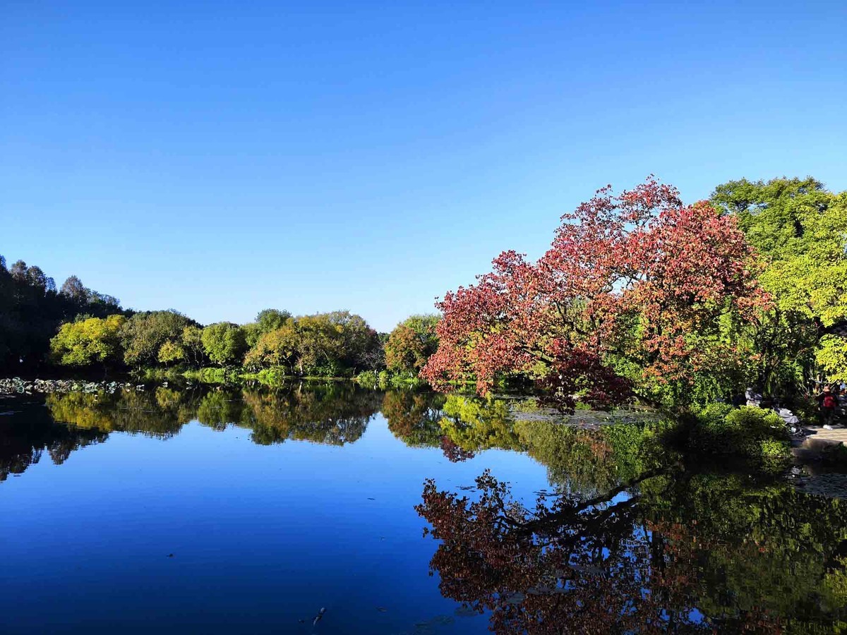 三潭印月【续】