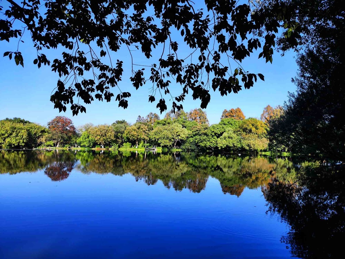 三潭印月【续】