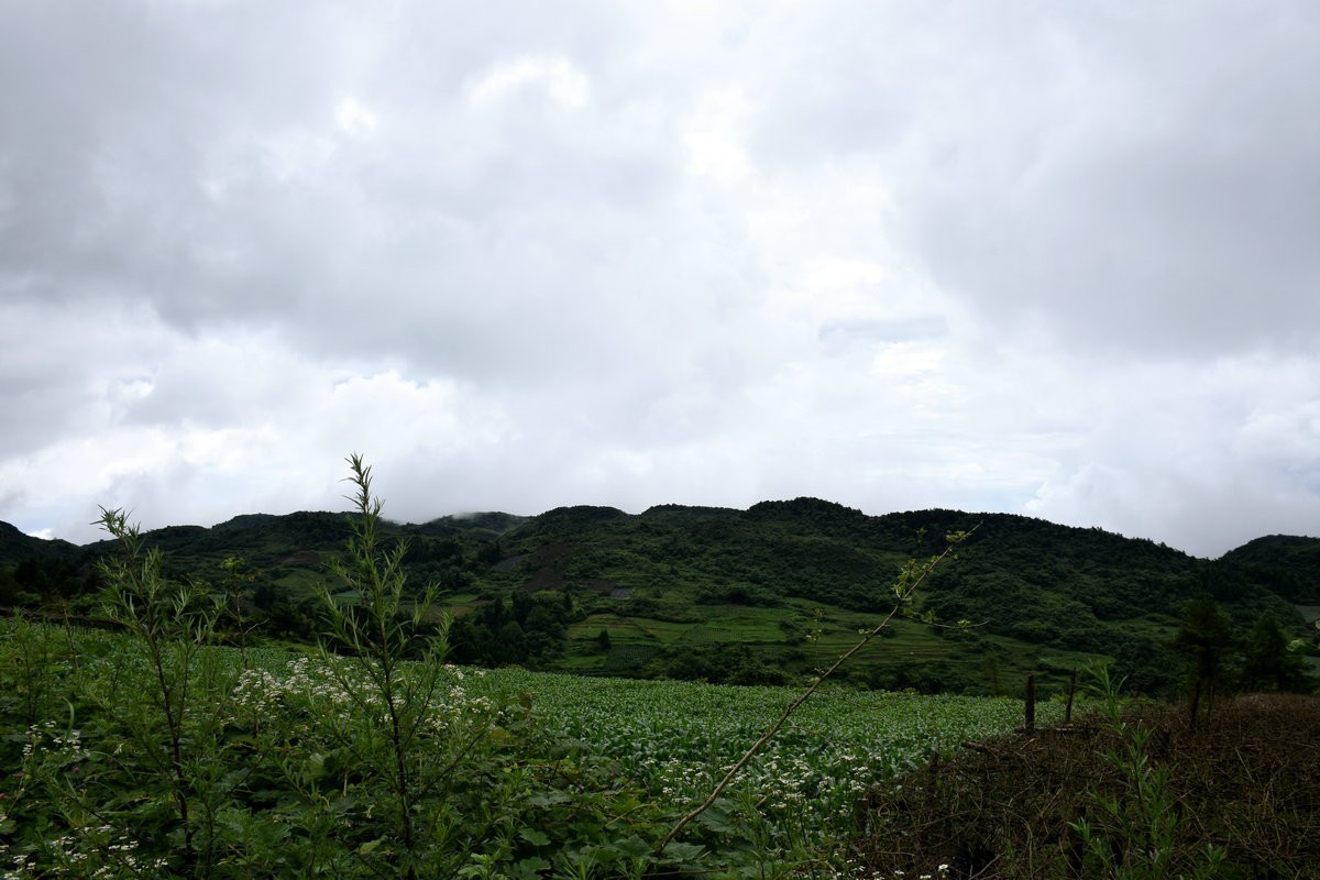 2023夏 黔赣鄂渝川（196）重庆石柱六塘乡