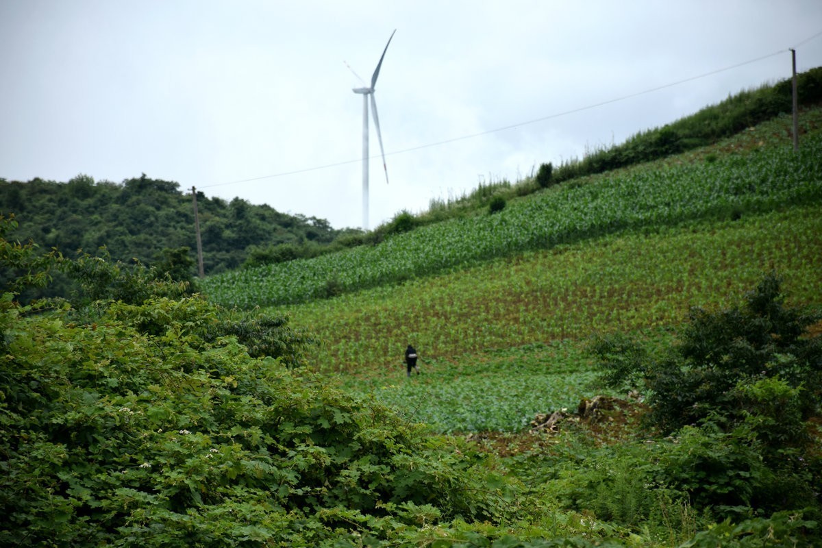 2023夏 黔赣鄂渝川（196）重庆石柱六塘乡