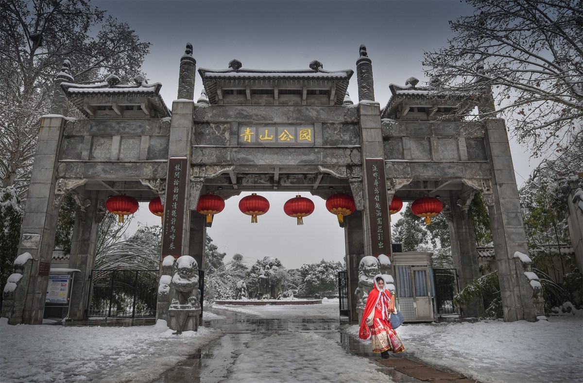 公园的雪景