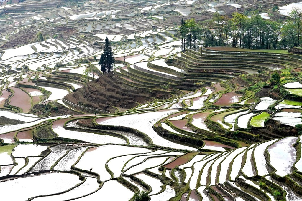 元阳梯田