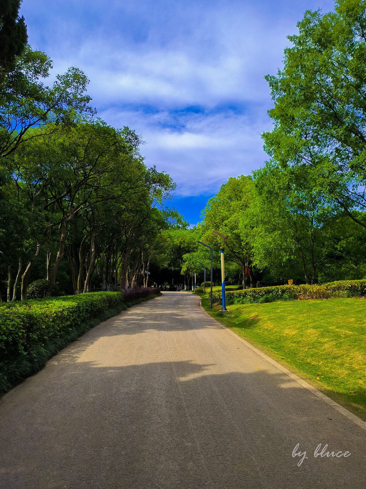 漫步雨山湖【上】