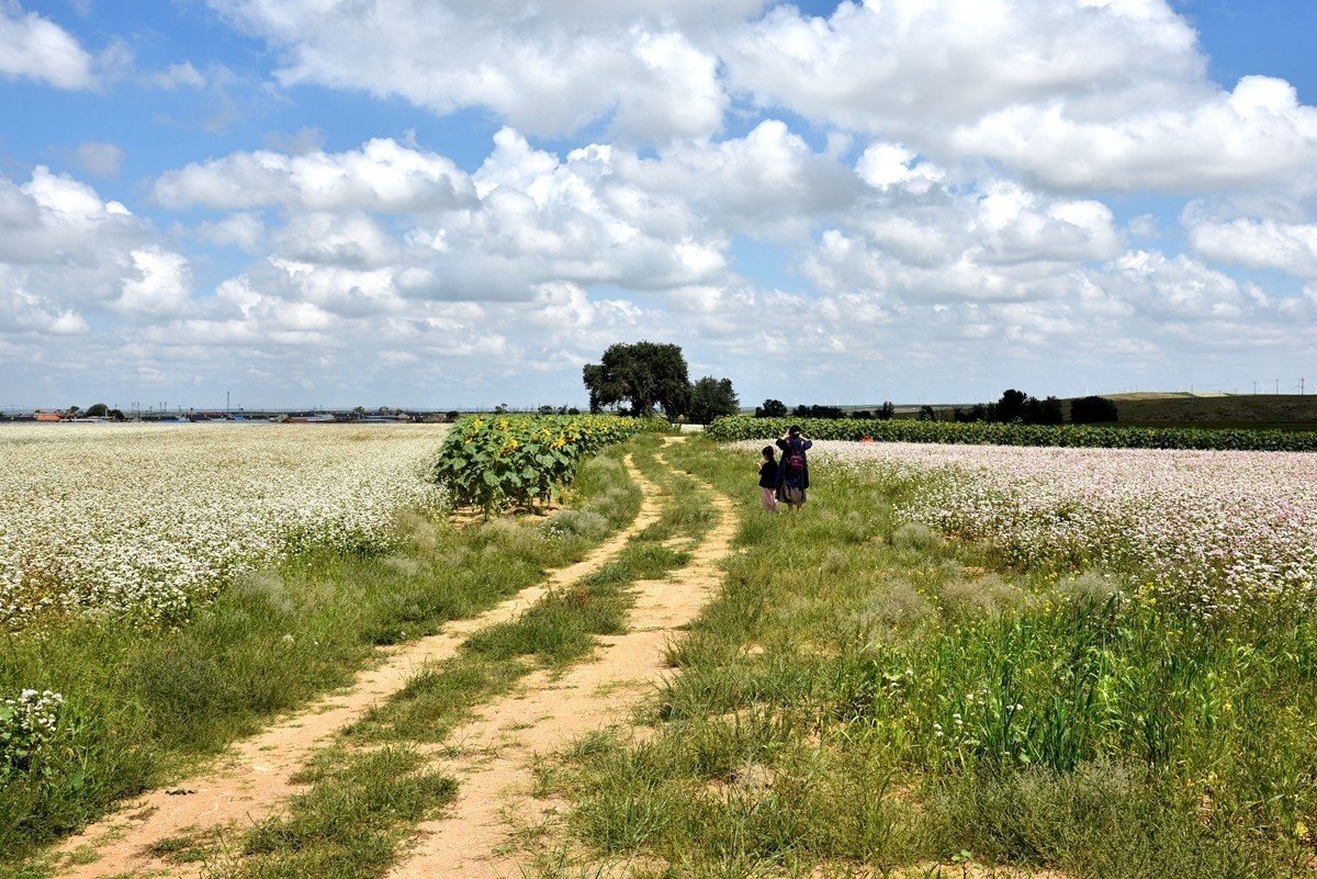 2024作品回顾贴/风光篇