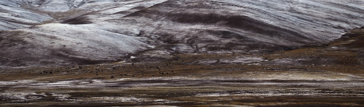 2024作品回顾贴/风光篇