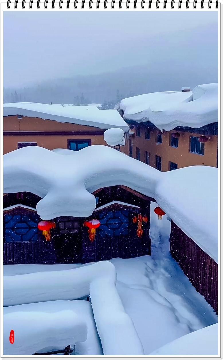 2025年- 中国雪乡风光抓拍-0007