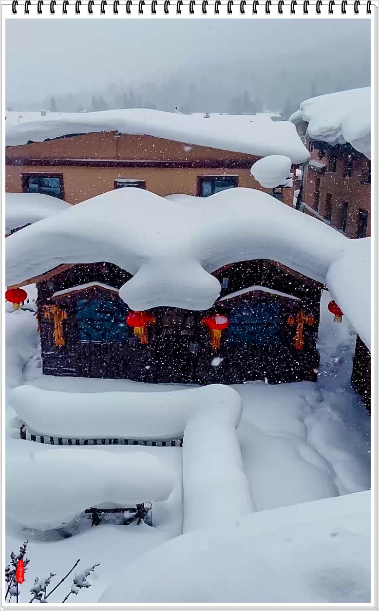 2025年- 中国雪乡风光抓拍-0007