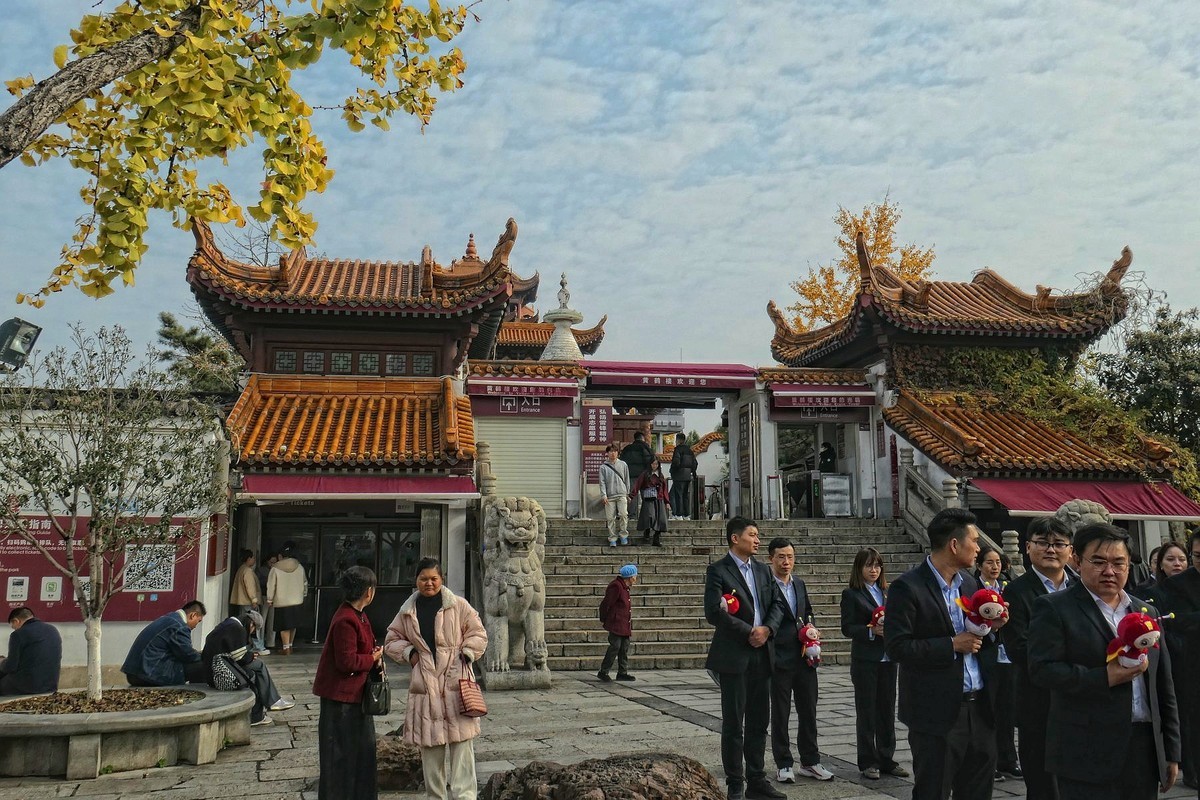 黄鹤楼的银杏树