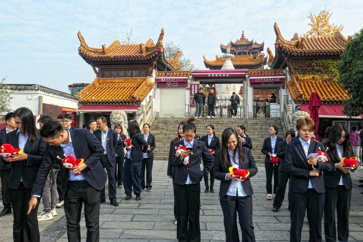 黄鹤楼的银杏树