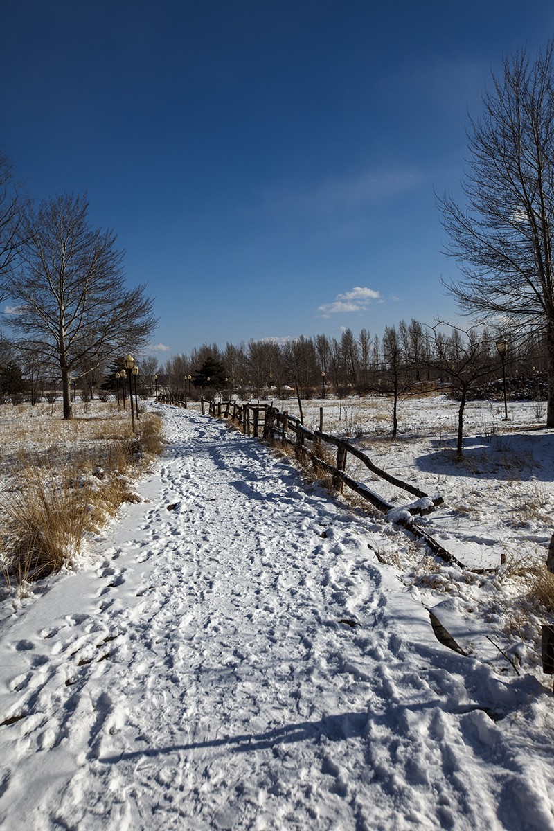 长天飞絮舞当空，大地铺银万里同。