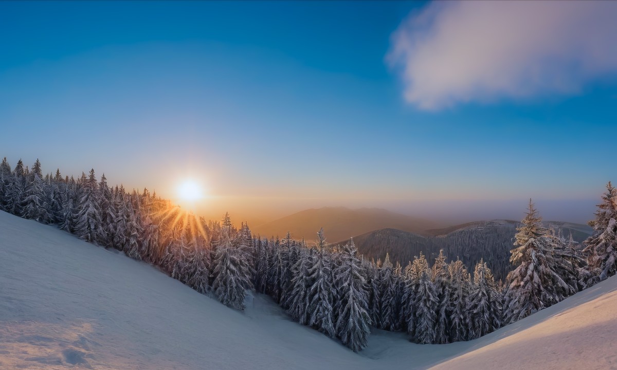 大自然的宁静与美好