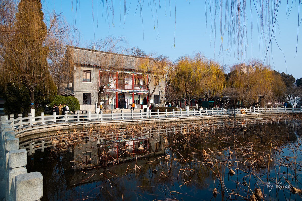 冬日大明湖（2）