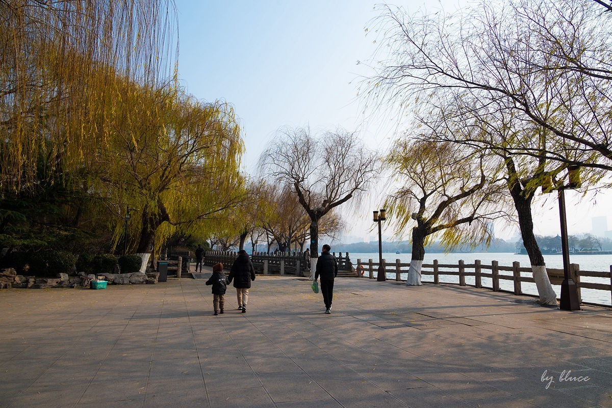 冬日大明湖（2）