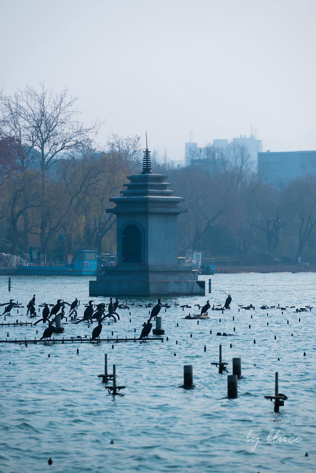 冬日大明湖（2）