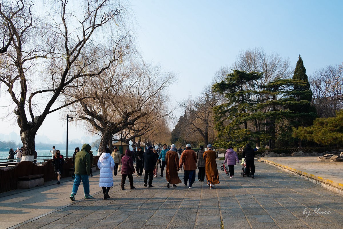 冬日大明湖（2）