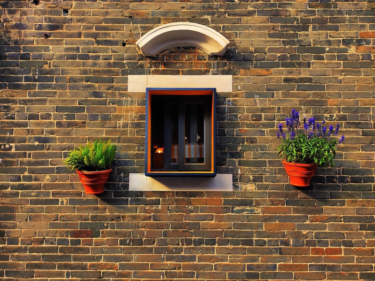 2025苏村迎春花市