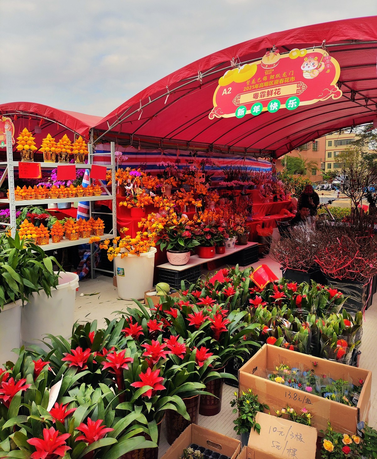 2025苏村迎春花市