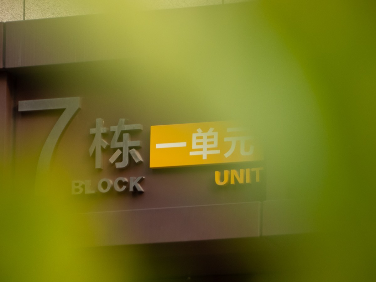 练手