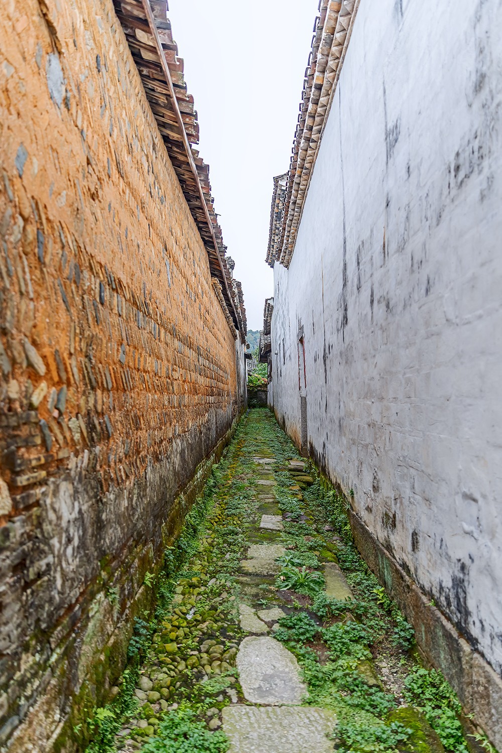 旅游记录 ：江西 · 宜春 · 天宝古村