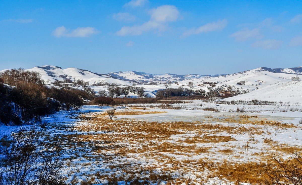 乌兰布统塞罕坝之行 及路上所见（十五）