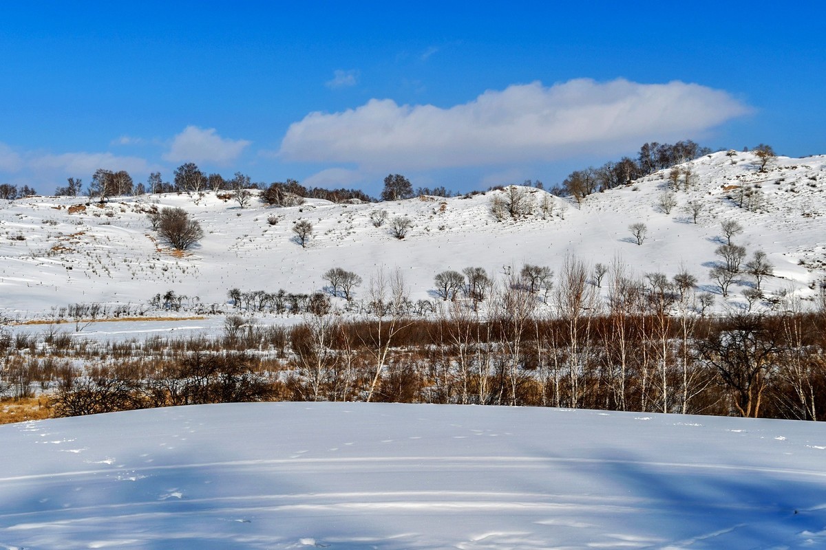 乌兰布统塞罕坝之行 及路上所见（十五）
