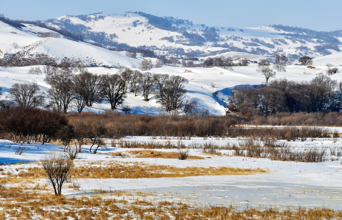 乌兰布统塞罕坝之行 及路上所见（十五）