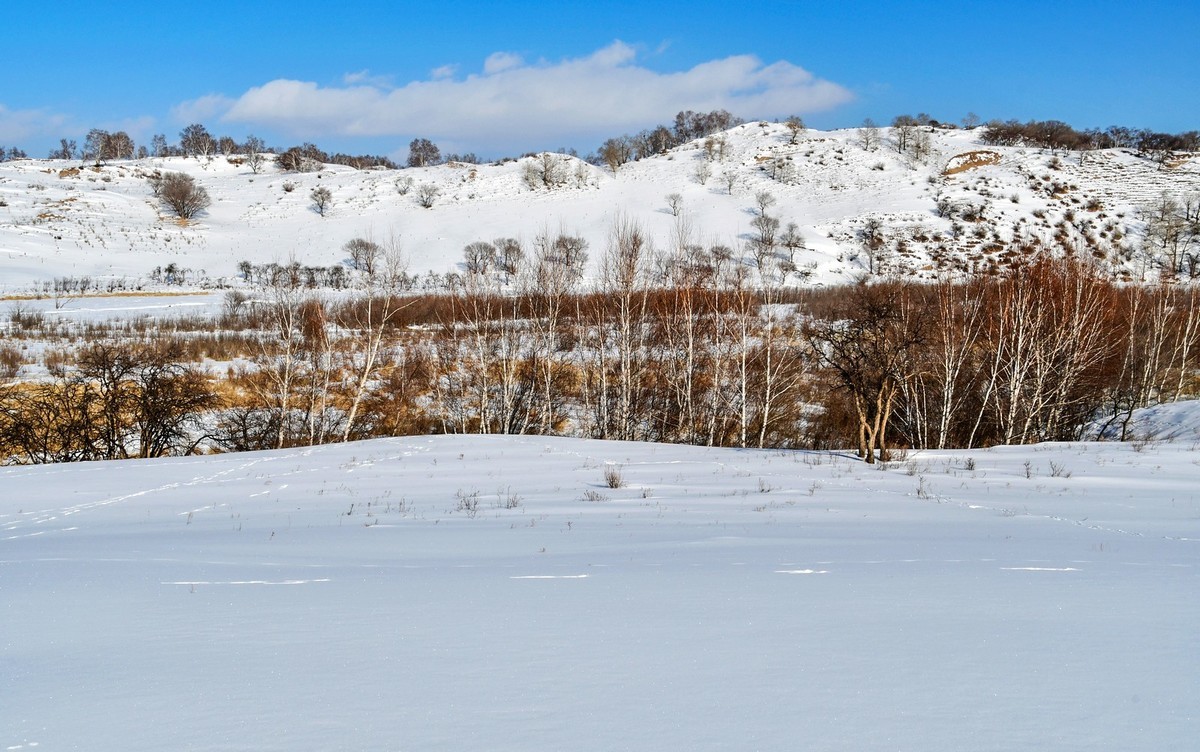 乌兰布统塞罕坝之行 及路上所见（十五）
