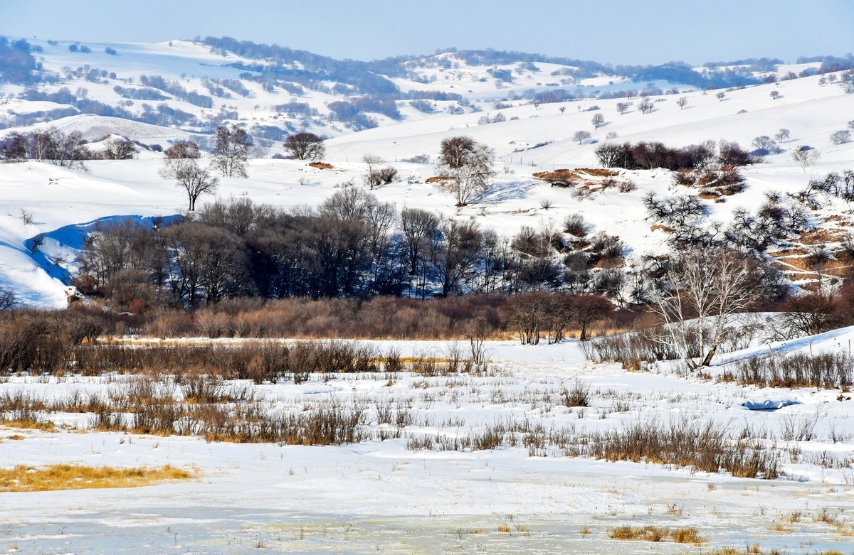 乌兰布统塞罕坝之行 及路上所见（十五）