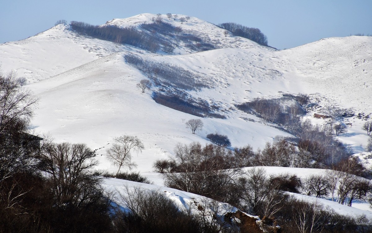 乌兰布统塞罕坝之行 及路上所见（十五）