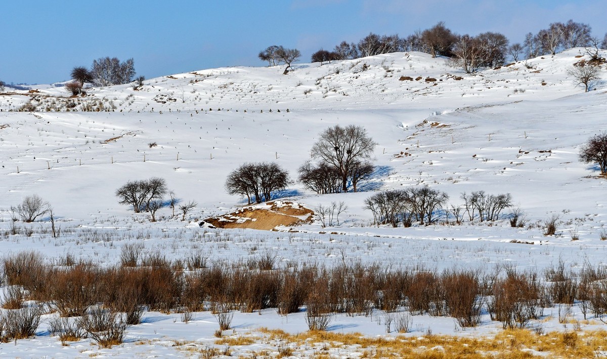 乌兰布统塞罕坝之行 及路上所见（十五）