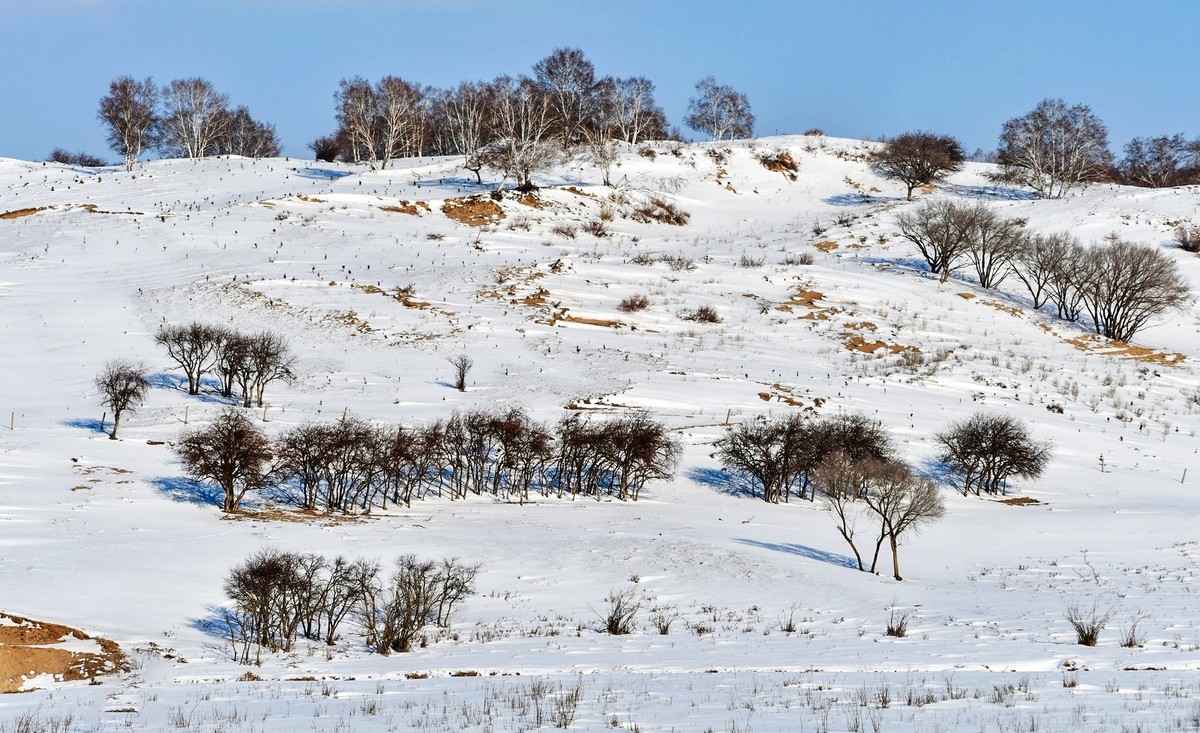 乌兰布统塞罕坝之行 及路上所见（十五）